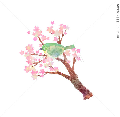 桜にメジロ 111806869