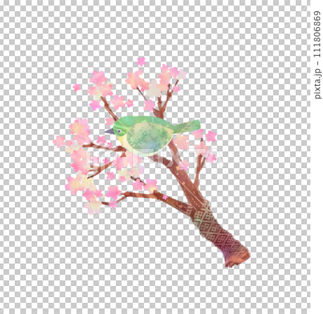 桜にメジロ 111806869