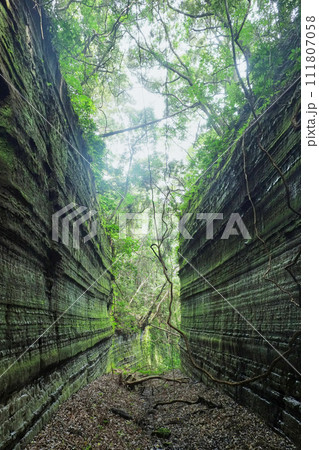 古道の切通し 千葉県館山市真倉の旧切割 古道の切通し 千葉県館山市真倉の旧切割 111807058
