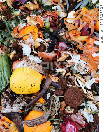 natural background from composting box natural background from composting box 111807208