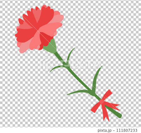 紅色康乃馨的插圖 111807233