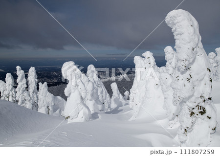 冬晴れの森吉山樹氷群 秋田県 冬晴れの森吉山樹氷群 秋田県 111807259