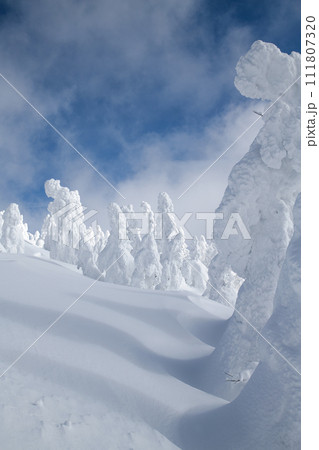 冬の森吉山　樹氷群　秋田県 111807320