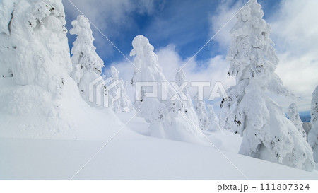 冬晴れの森吉山樹氷群　秋田県 111807324