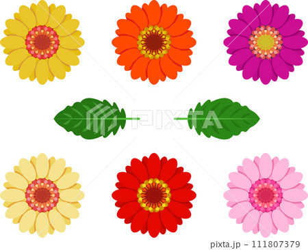 6色のガーベラの花と2種類の葉 111807379