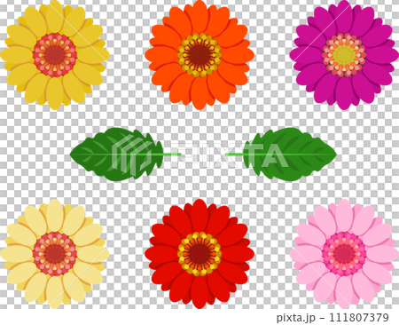 6色のガーベラの花と2種類の葉 111807379