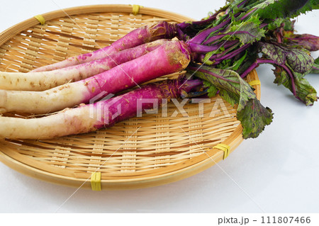 伝統野菜　日の菜 111807466