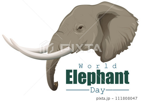 World Elephant Day Vector Illustration 111808047
