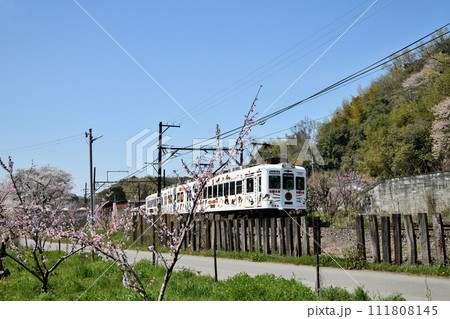 大池遊園駅近くを走る電車(和歌山電鐵貴志川線)　【和歌山県紀の川市貴志川町】 111808145