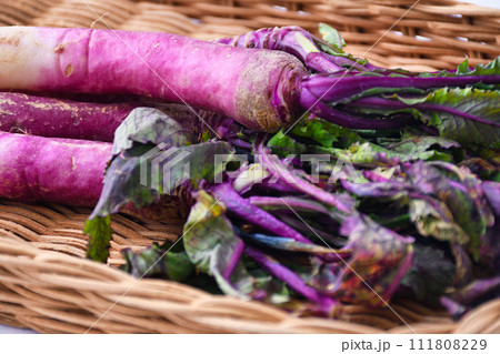 伝統野菜　日の菜 111808229