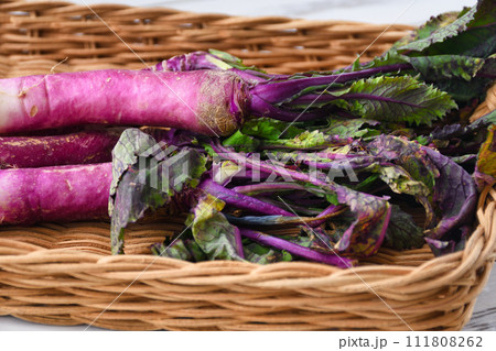 伝統野菜　日の菜 111808262