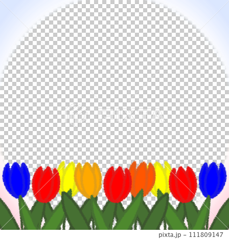 クレヨンタッチのチューリップのフレーム【1:1】 111809147
