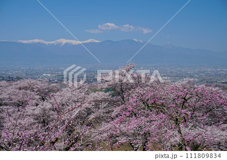 青空と南アルプス連峰を背景に満開の桜咲く山梨桃源郷の風景　Ver1 111809834