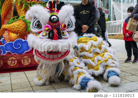 横浜中華街 春節祭 採青 春節祈願獅子舞 横浜マリンタワー前にて 横浜中華街 春節祭 採青 春節祈願獅子舞 横浜マリンタワー前にて 111810013