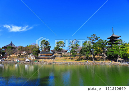 【奈良県】晴天の興福寺(五重塔と中金堂と南円堂) 【奈良県】晴天の興福寺(五重塔と中金堂と南円堂) 111810649