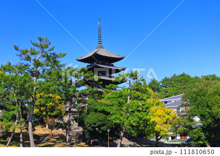 【奈良県】晴天の興福寺(五重塔) 【奈良県】晴天の興福寺(五重塔) 111810650