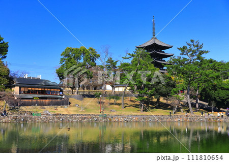 【奈良県】晴天の興福寺（五重塔と猿沢池） 111810654