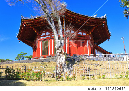 【奈良県】晴天の興福寺(南円堂) 【奈良県】晴天の興福寺(南円堂) 111810655