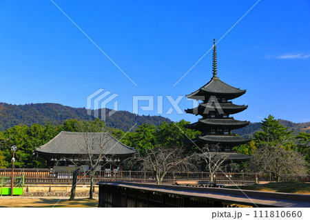 【奈良県】晴天の興福寺(東金堂と五重塔) 【奈良県】晴天の興福寺(東金堂と五重塔) 111810660