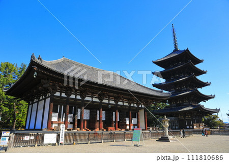 【奈良県】晴天の興福寺(東金堂と五重塔) 【奈良県】晴天の興福寺(東金堂と五重塔) 111810686