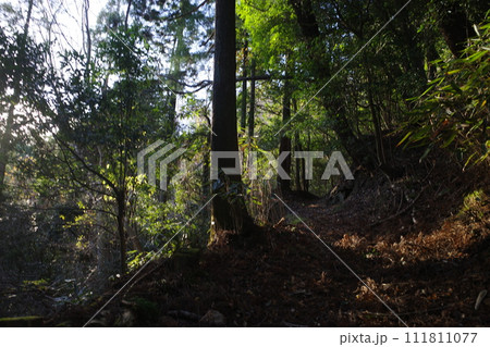 丹沢にて山登り 111811077