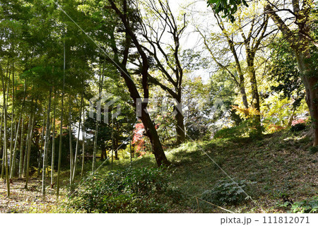 六義園の風景 六義園の風景 111812071