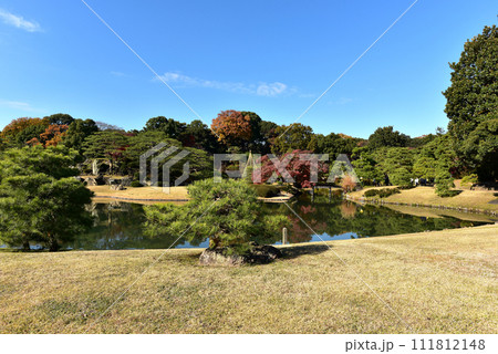 六義園の風景 六義園の風景 111812148