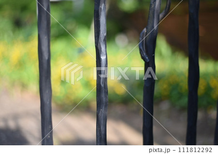 後ろボケ 後ろボケ 111812292