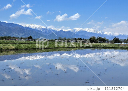 安曇野の水田に映る雄大な北アルプス 111812704