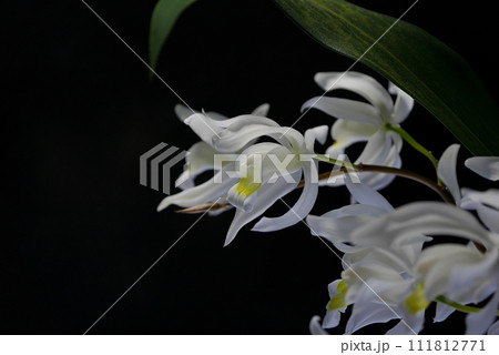 セロジネ・インターメディア20230215 111812771