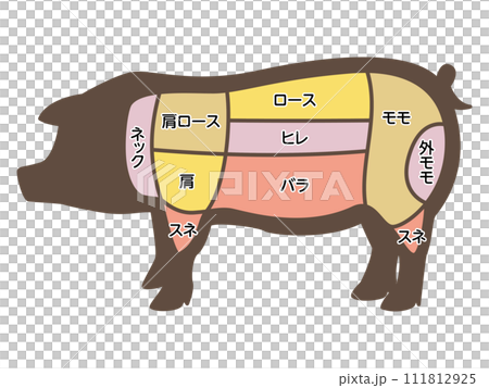 豚の部位のイラスト 111812925