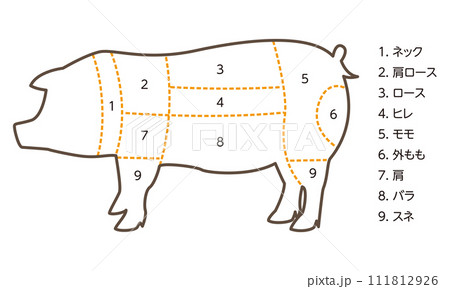 豚の部位のイラスト 111812926