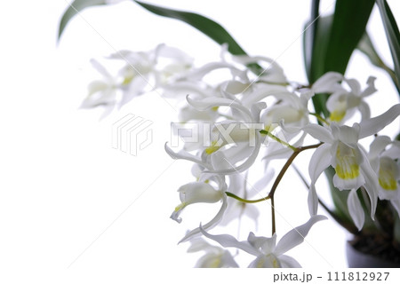 セロジネ・インターメディア20230217 111812927