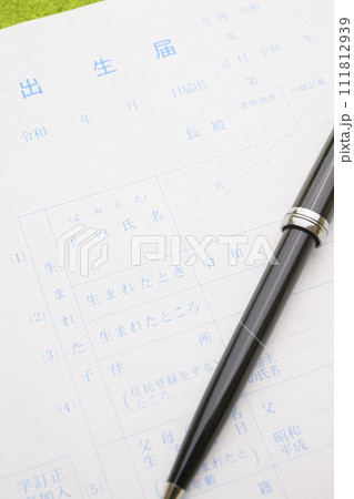 出生届（子の氏名の文字にフォーカス） 111812939