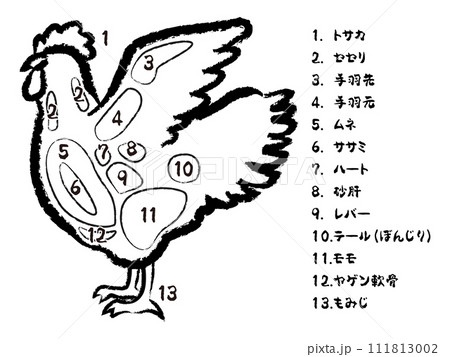 鶏肉の部位のイラスト 鶏肉の部位のイラスト 111813002
