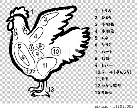 鶏肉の部位のイラスト 鶏肉の部位のイラスト 111813002