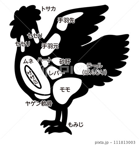 鶏肉の部位のイラスト 鶏肉の部位のイラスト 111813003