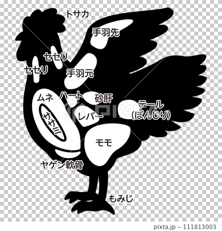 Illustration of chicken parts 111813003