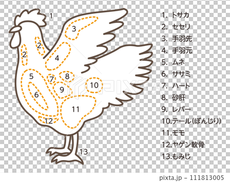 Illustration of chicken parts Illustration of chicken parts 111813005
