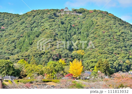 周防国 秋の「岩国城」の天守閣・石垣と曲輪・眺望 周防国 秋の「岩国城」の天守閣・石垣と曲輪・眺望 111813032