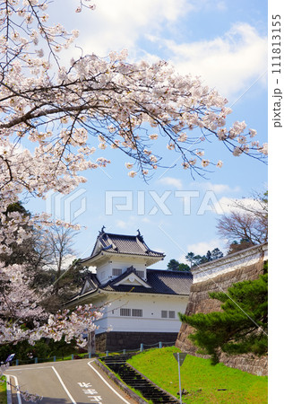 春の仙台城跡（大手門跡）【宮城県仙台市】 111813155