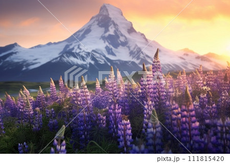Blooming meadow among mountains. High peaks and flowers. Beauty in nature. 111815420