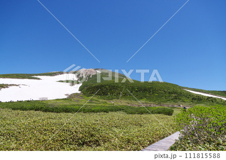 白山弥陀ヶ原と御前峰 白山弥陀ヶ原と御前峰 111815588