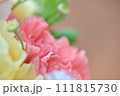 淡いオレンジ色と黄色のカーネーションのアップ 111815730