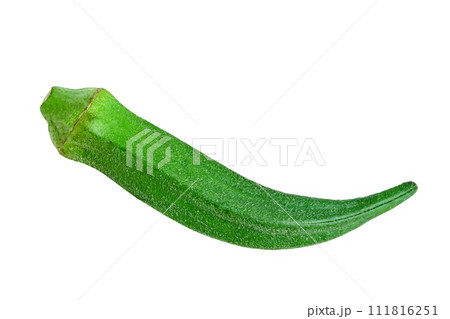 fresh okra isolated 111816251