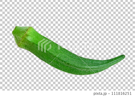 fresh okra isolated 111816251