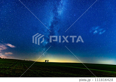 北海道美瑛町の星空 ~親子の木のある丘~ 北海道美瑛町の星空 ~親子の木のある丘~ 111816428