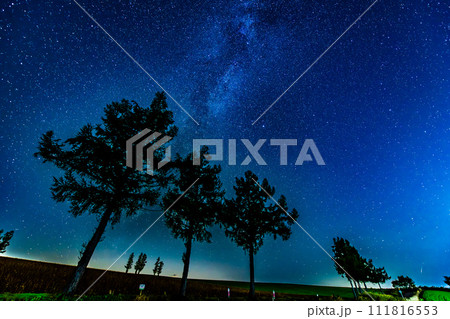 北海道美瑛町の星空　～マイルドセブンの丘～ 111816553