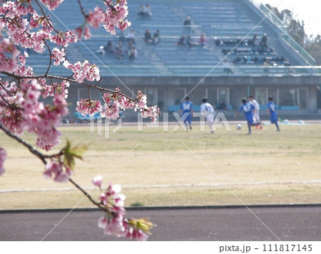 熊谷市の運動公園でサクラ咲く(2015.3.30) 桜手帖 淡いピンクがサッカーグランドに舞う 熊谷市の運動公園でサクラ咲く(2015.3.30) 桜手帖 淡いピンクがサッカーグランドに舞う 111817145