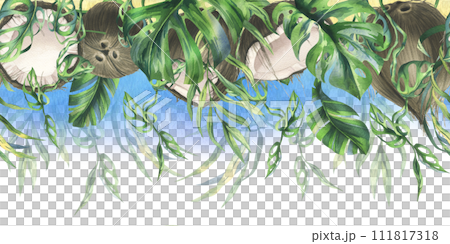 Coconuts whole, halves and pieces with bright, green, tropical palm leaves. Hand drawn watercolor illustration. Seamless border isolated from the background Coconuts whole, halves and pieces with bright, green, tropical palm leaves. Hand drawn watercolor illustration. Seamless border isolated from the background 111817318